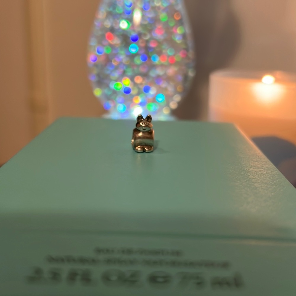 Pandora RETIRED LIMITED EDITION sterling silver charm